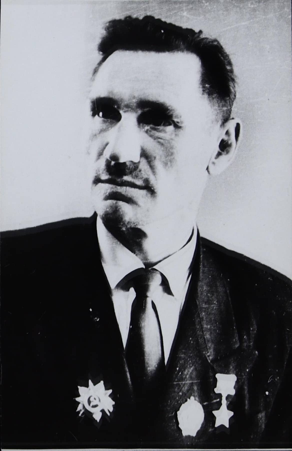 Портрет Ефремов Д.И.