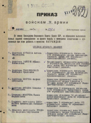 к9.jpg