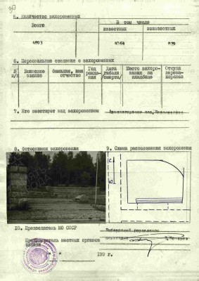ш8 5.jpg