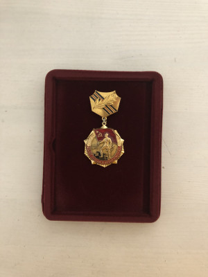 Нагрудной знак Бексеитова Т.  в честь 25 летия Победы, 1970 г. .JPG